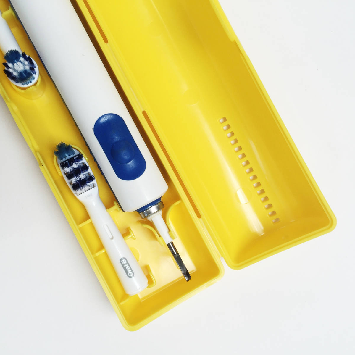 schelle yellow schelle yellow